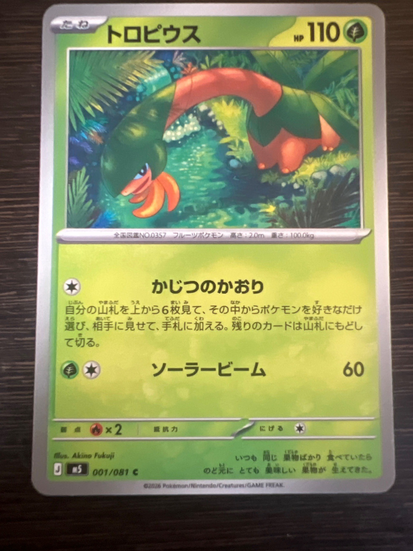 トロピウス [美品]